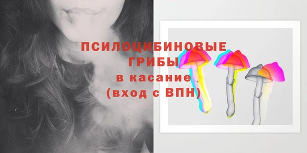 a pvp Алзамай