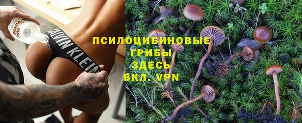 прущие крисы Алексин