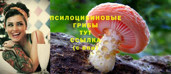 прущие крисы Алексин
