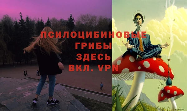 прущие крисы Алексин